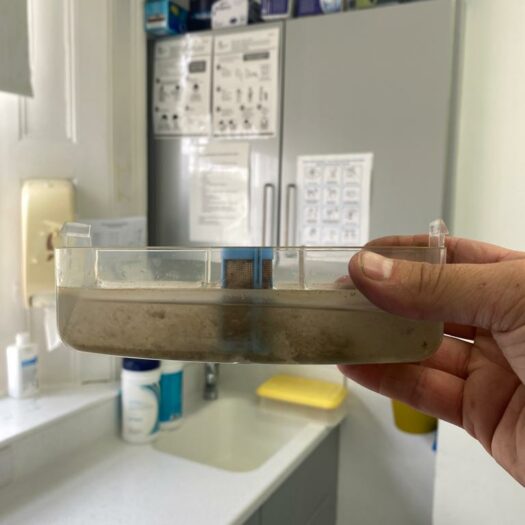Water testing